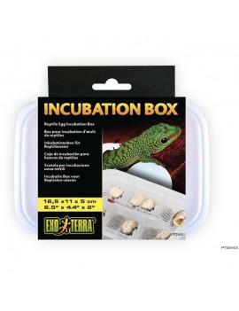 Egg incubation box - For...