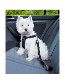 Car harness - For dog