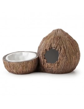 Water and coconut cellar -...