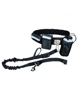 Lap belt with leash - For dog