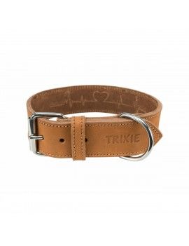 Collier pour Chien Trixie...