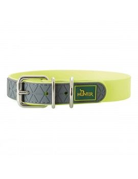 Collier pour Chien Hunter...