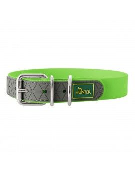 Collier pour Chien Hunter...