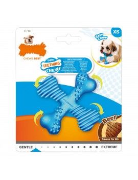 Jouet pour chien Nylabone...