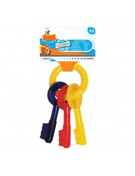 Jouet pour chien Nylabone...