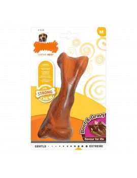 Jouet pour chien Nylabone...