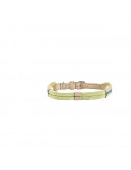 Collier pour Chien Hunter...
