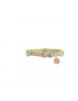 Collier pour Chien Hunter...