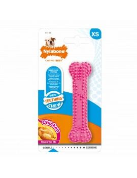 Jouet pour chien Nylabone...