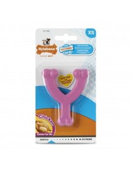 Jouet pour chien Nylabone...