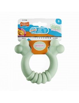 Jouet pour chien Nylabone...