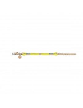 Collier pour Chien Hunter...