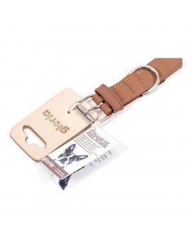 Collier pour Chien Gloria...