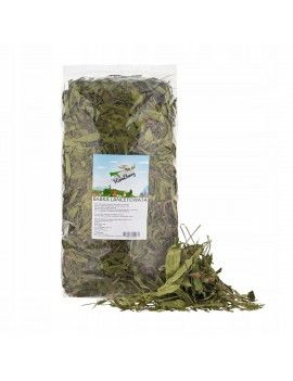 Nourriture Factoryherbs...
