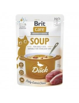 Collation pour Chat Brit...