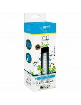 Lumière LED Ciano Cla60...