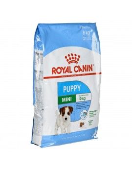 Nourriture Royal Canin Mini...