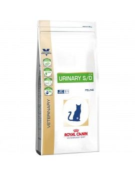 Aliments pour chat Royal...