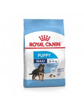 Nourriture Royal Canin Maxi...