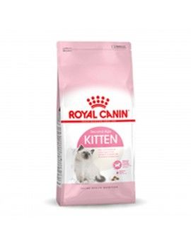 Aliments pour chat Royal...