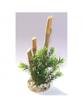 SYDECO Bambou plantes -...