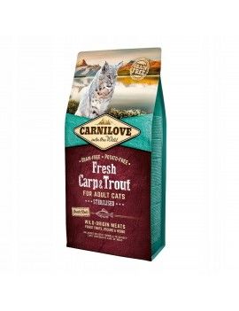Aliments pour chat...