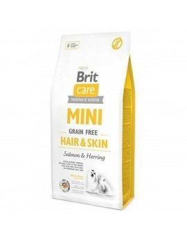 Nourriture Brit Hair&Skin...
