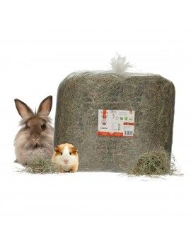 Nourriture pour lapins...