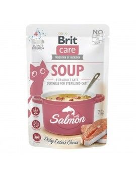 Collation pour Chat Brit...