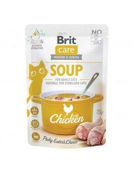 Collation pour Chat Brit...