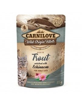 Aliments pour chat...