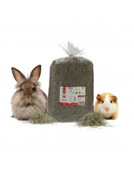 Nourriture pour lapins...