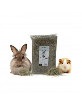 Nourriture pour lapins...