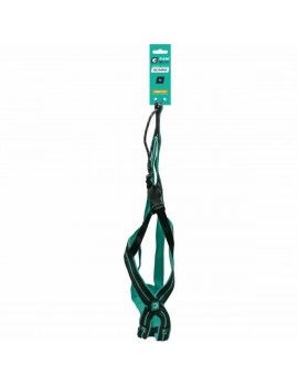 Harnais pour Chien Olympia M