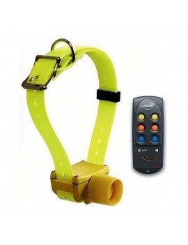 Collier pour Chien Num'Axes