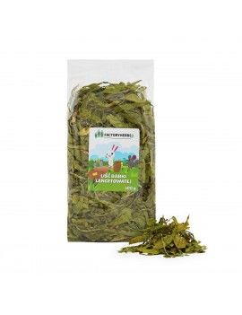 Nourriture Factoryherbs