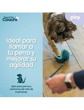 Harnais pour Chien Coachi