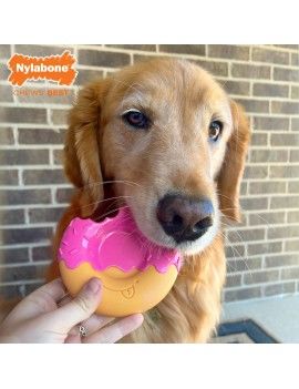 Jouet pour chien Nylabone...