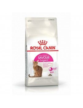 Aliments pour chat Royal...