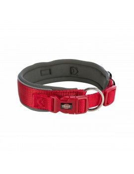 Collier pour Chien Trixie...