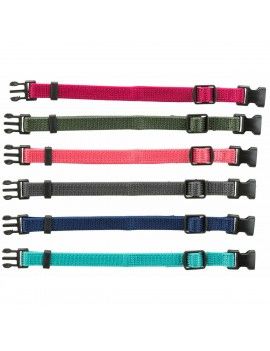 Collier pour Chien Trixie...