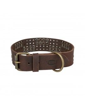 Collier pour Chien Trixie...