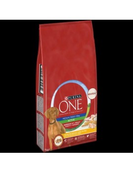 PURINA ONE Croquettes Chien...