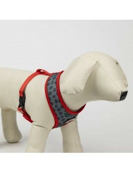 Harnais pour Chien Minnie...