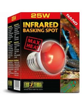 Ampoule infrarouge Exo Terra