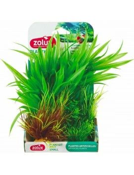 Plante décorative Zolux