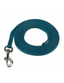 Harnais pour Chien Coachi