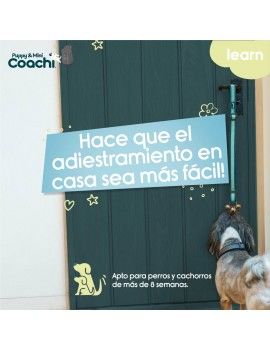 Harnais pour Chien Coachi