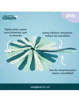 Harnais pour Chien Coachi