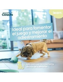 Harnais pour Chien Coachi